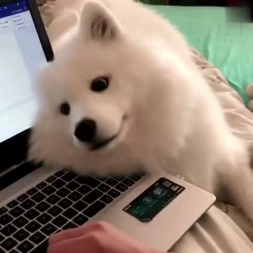 微信圖片_20190606153057_副本.jpg